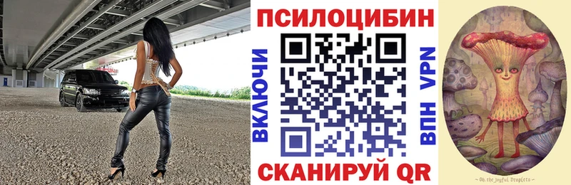 Галлюциногенные грибы мухоморы  hydra ссылки  Чулым 